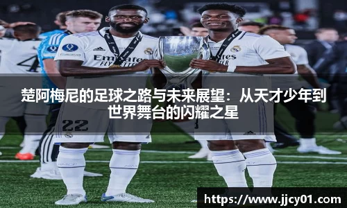 米兰体育